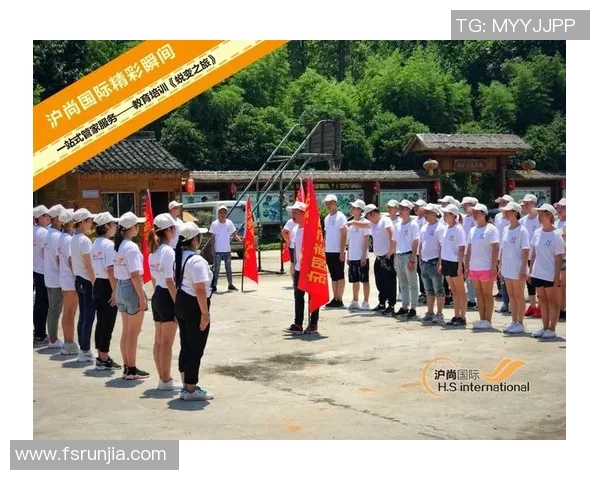 深圳篮球队的蜕变之旅：从草根到职业的奋斗与荣耀